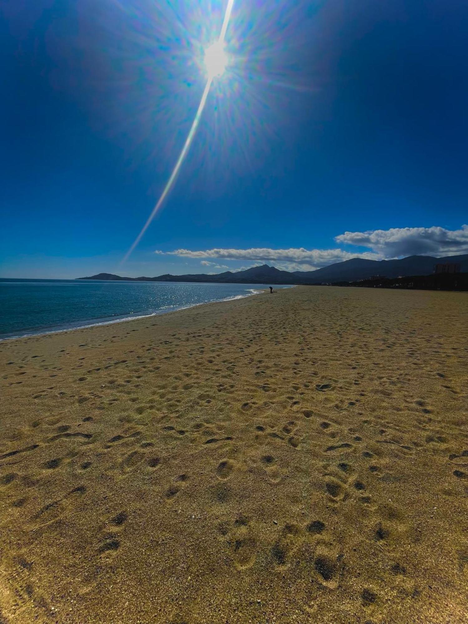 Appart Clim , Wifi, Plage 200 Metres อาร์เจเลส-ซัวร์-แมร์ ภายนอก รูปภาพ
